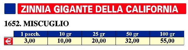 INNIA GIG.CALIFORNIA